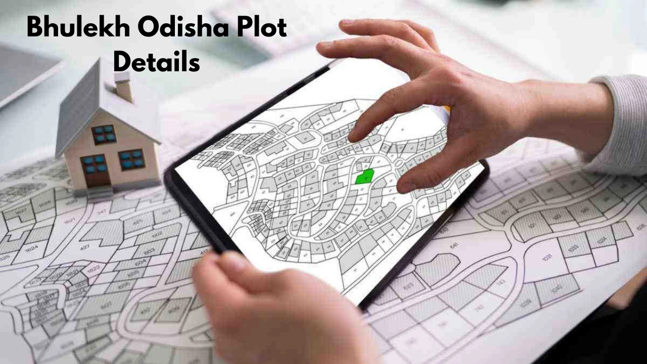 Bhulekh Odisha Plot Details