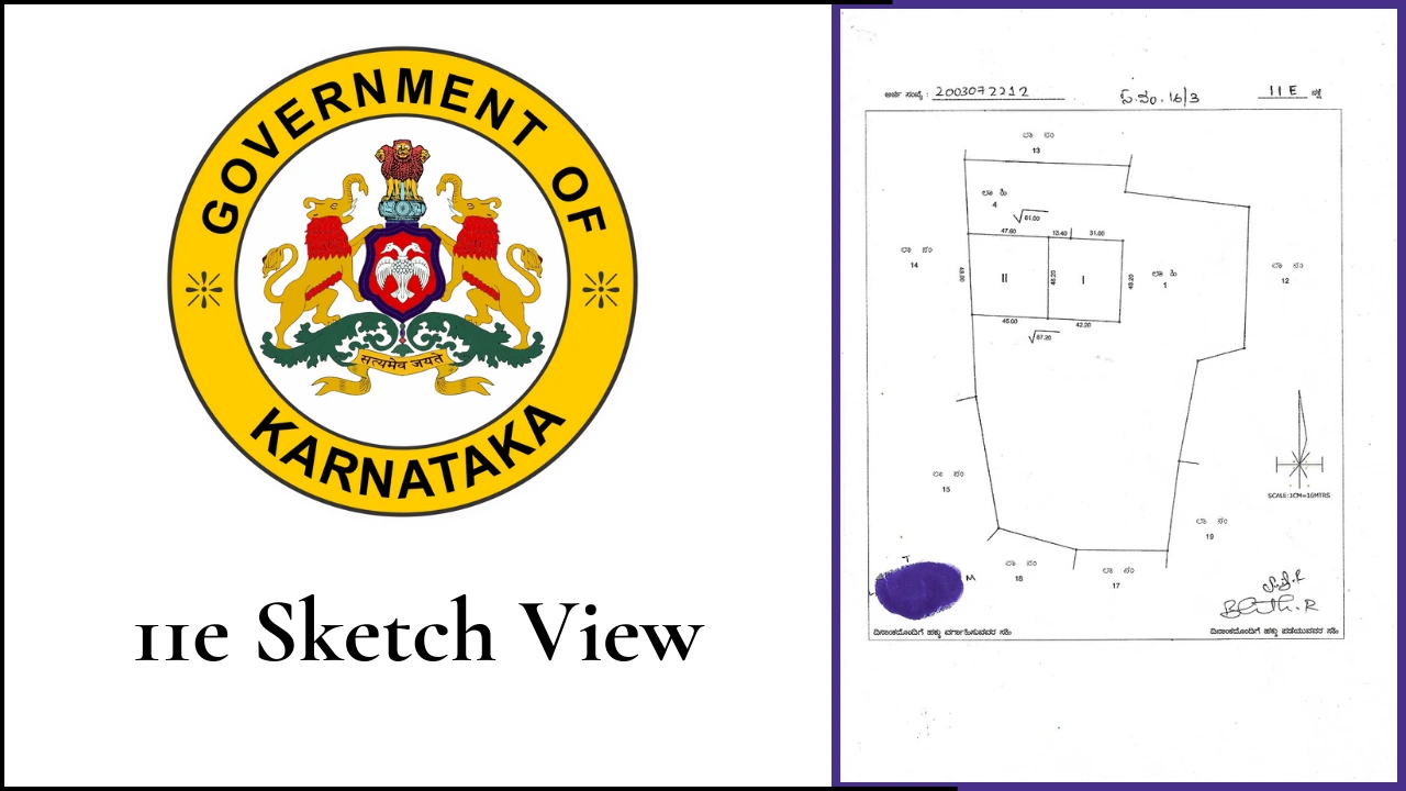 11e Sketch View